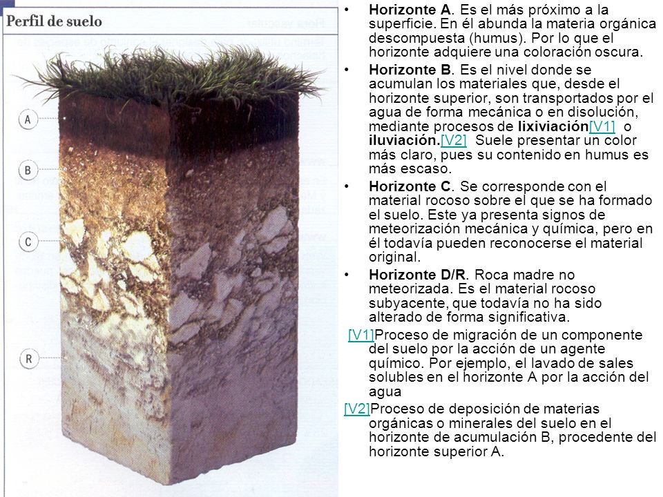 HORIZONTES SUELOS PDF DOWNLOAD HORIZONTES SUELOS PDF DOWNLOAD